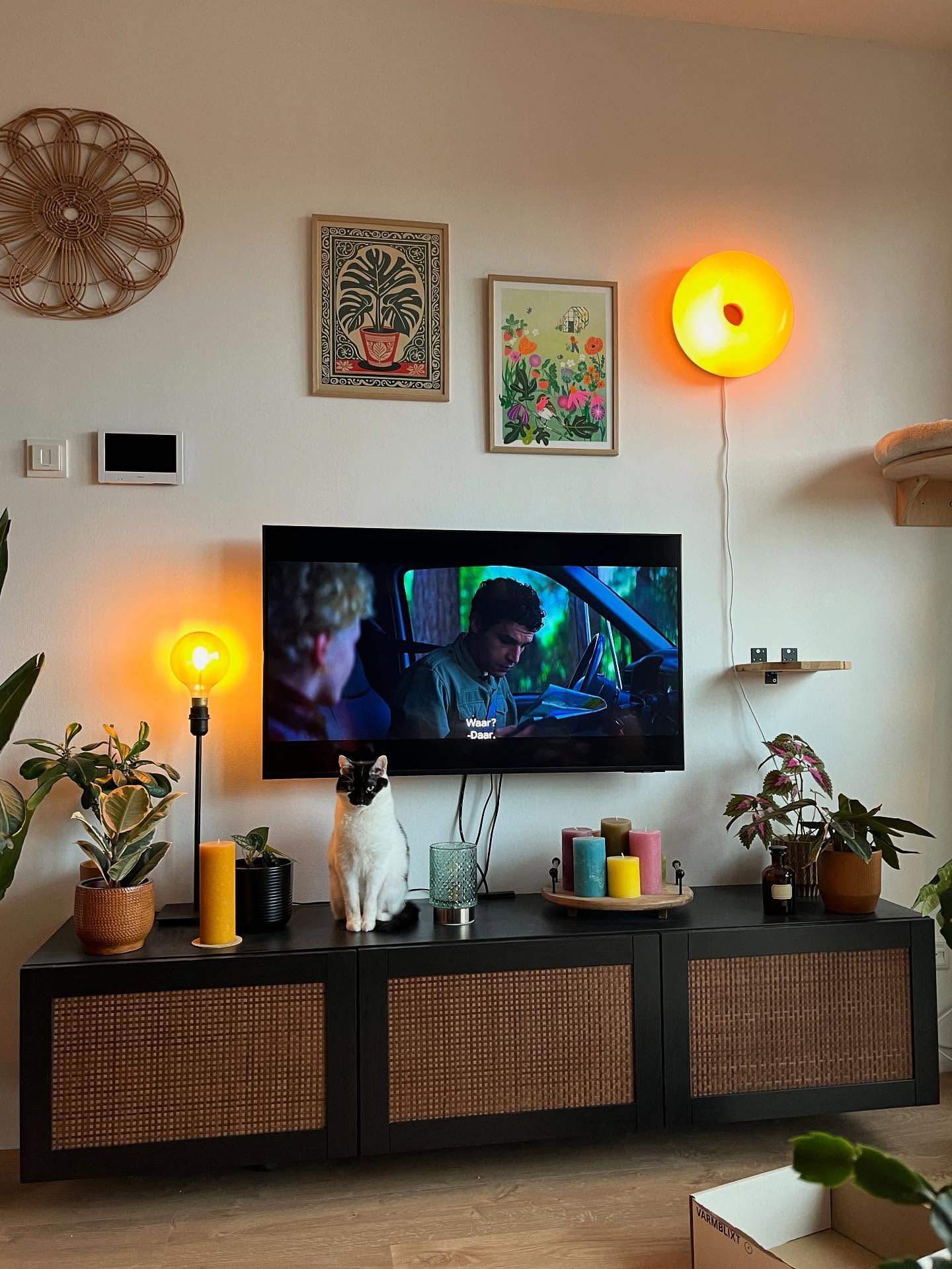 Een stilleven. 🧡💛👀💚🍩❤️💙

Mede mogelijk gemaakt door: @angelica.illu @ikeanederland @blokker @pinetumblijdenstein @fluffsonglass @zooplus.nl @samsungnederland @skyshowtimenl @dillekamillehilversum @albertheijn @actionnederland @intratuin_nederland 

#lovemyhouse #woonkamer #woonkamerinspiratie #woonkamerideeën #interieur #interieurdesign #eclectischwonen #livingroomideas