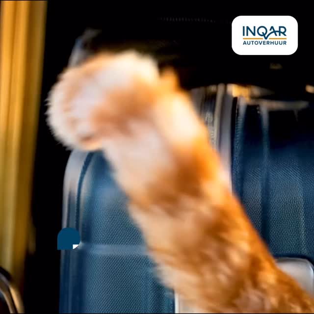 Weer een paar leuke commercials mogen inspreken in m'n thuisstudio, dit keer voor Inqar! 🐈  Een van zes; vond deze wel toepasselijk voor deze dagen. ☀️

#voiceover #stemacteur #voiceoverwerk #stemacteren #hilversum 

Via @betaalbarestemmen!